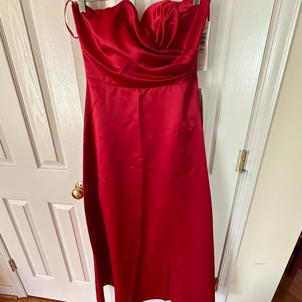 Blue Sage Red Dress